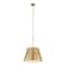 Z-Lite Lilly Pendant, 1-Light, 24 In.W x 18 In.H, Rubbed Brass/Rubbed Brass 2307-24RB - alternate 6